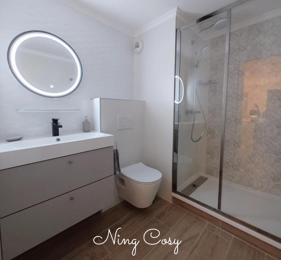 Superbe Cosy Duplex Appartement T3 Charpenne Tete D'Or Avec Parking Prive Gratuit Вийёрбан Экстерьер фото