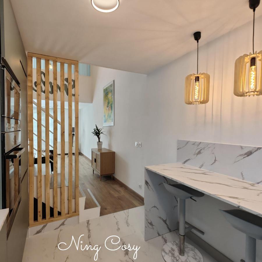 Superbe Cosy Duplex Appartement T3 Charpenne Tete D'Or Avec Parking Prive Gratuit Вийёрбан Экстерьер фото
